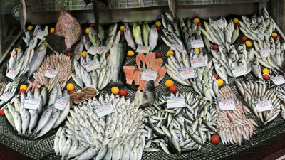 Balıkçılara müjde! Kısıtlama kaldırıldı...