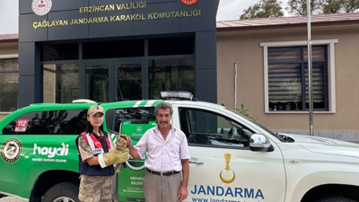 Erzincan'da yaralı 'şahin’e jandarmadan şefkat eli