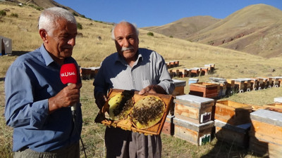 Hekimhanlı arıcılar sahte baldan dertli