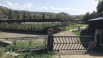 Kastamonu'da hastalık nedeniyle karantina başlatıldı!