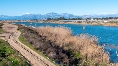 Isparta'nın Aksu ilçesinde üretiliyor! Rusya, Gürcistan ve Hollanda'ya gönderiliyor