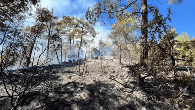 Adana'daki orman yangını söndürüldü