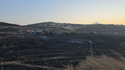 Bursa'da çıkan orman yangını kontrol altına alındı