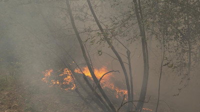 Karabük’te orman yangını çıktı