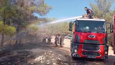 Şanlıurfa’da orman yangını