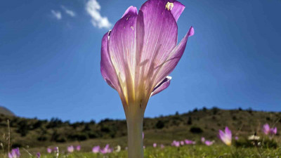 Türkiye’nin en fazla yaylaya sahip şehrinde görüldü