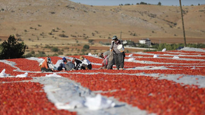 Elazığ'da üretiliyor: Dünya sofralarına misafir oluyor