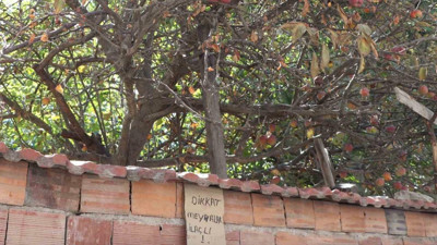 Eskişehir'deki uyarı görenleri şaşırttı!