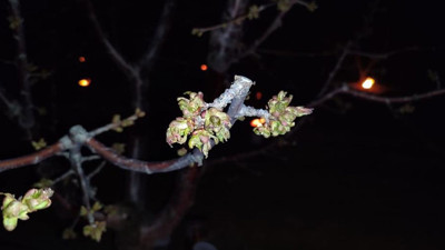 Eskişehirliler dikkat! Eskişehir’in de aralarında bulunduğu 65 ilde...