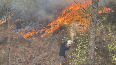 Muğla'da ormanlık alanda yangın çıktı
