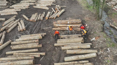 Düzce'de üretildi: 967,5 ton yurt dışına gönderildi!