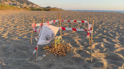 Koparmanın cezası 557 bin TL! Antalya’nın Gazipaşa ilçesinde bulunuyor