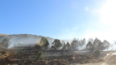 Orman yangınında 40 dönüm alan zarar gördü! Konya'nın Yunak ilçesinde gerçekleşti