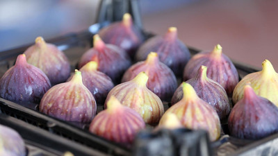 Bursa'da üretiliyor! ABD hariç dünyanın her yerine gidiyor