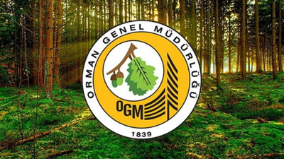 İş arayanlar dikkat! Orman Genel Müdürlüğü 262 işçi alacak