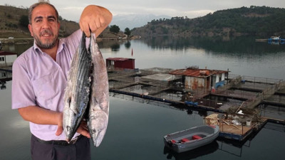 Kahramanmaraş'ta üretiliyor! 54 ülkeye gönderiliyor