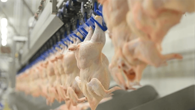 Beyaz et sektörüne ceza yağdı: O firmadan açıklama yapıldı