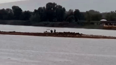 Sapanca'da gizemli yapı ortaya çıktı! Kazmasını küreğini alan oraya koştu!