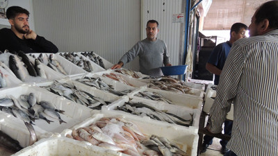 Antakyalı balıkçılar ‘yol’ bekliyor