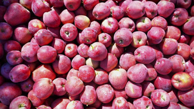 Ege Bölgesi'nin elma deposu: Denizli