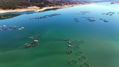 Tokat'taki barajda üretiliyor! 5 ülkeye ihraç ediliyor