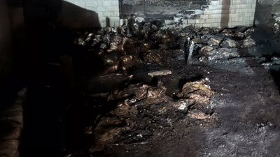 Kahreden manzara: 170 koyun yanarak telef oldu!