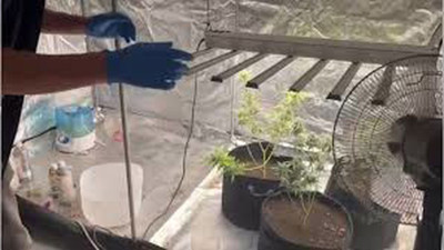 Malatya'da ele geçirildi! 13 kilogram