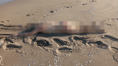 Sahilde çıplak erkek cesedi bulundu