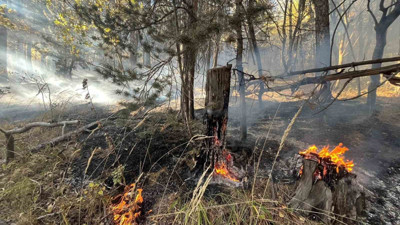 Sarıkamış’ta orman yangını çıktı! 2 hektar alan zarar gördü