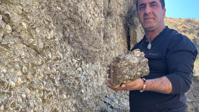 Erzurum'da bulundu! Tam 200 milyon yıllık