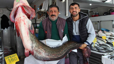 Samsun'da 85 kiloluk dev yayın balığı yakalandı