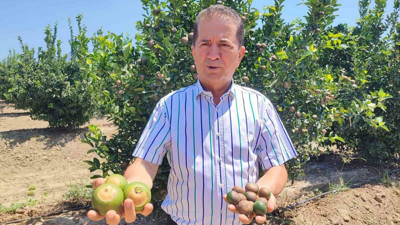 ‘Çiftçi borcunu borçla ödüyor’