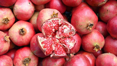 Denizli'de üretiliyor, Avrupa ve Kanada'ya gönderiliyor