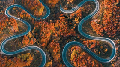 Bu görüntüler Bursa'dan! İnegöl ormanları sonbaharda ayrı güzel