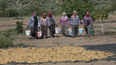 Dünya Kadın Çiftçiler Günü kutlu olsun! Tarımda kadın emeği görülmüyor