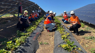 İstanbul Beykoz'da 5 ton üretildi: Türkiye'nin dört bir yanına gönderiliyor