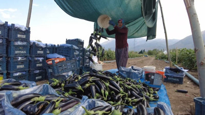 Erzincan’da 700 kişiye istihdam sağlayacak