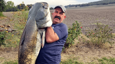 Tekirdağ’da yakalandı: 70 kiloluk yayın balığı oltaya geldi!