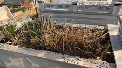 Tekirdağ'da ilginç hırsızlık! Mezarlıktan çalındı tam 88 adet