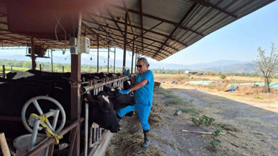 Aydın'da karantina başladı! 9 mahallede uygulanacak