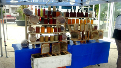 Muğla o alanda dünyada birinci sırada!