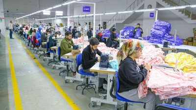 Şanlıurfa, Çukurova ve Söke’de pamuk üretimi krizde! Türkiye pamuktan vazgeçiyor ithalata devam