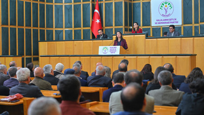 DEM münfesih örgüt formülünden yana