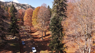 Adana'da sonbahar güzelliği