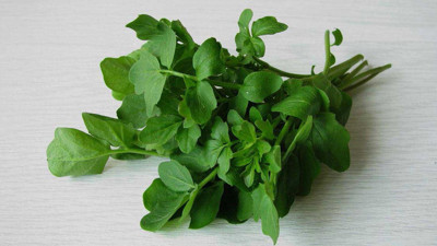 Dünyanın en sağlıklı sebzesi açıklandı! Ispanaktan 10 kat daha faydalı çıktı