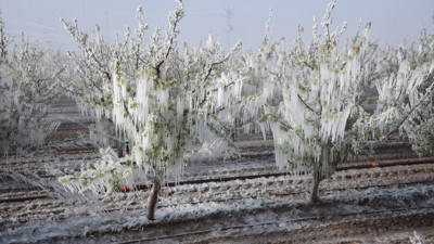 Meserret Taşkın’dan mektup var ‘Kara bahtım kem talihim…’