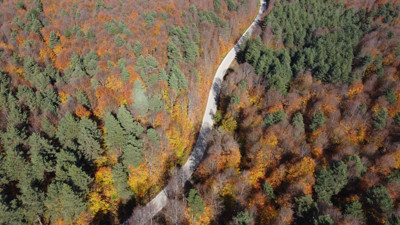 Bilecik ormanlarında sonbahar renkleri hakim oldu