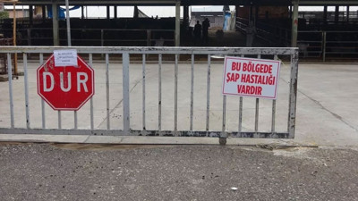 Bolu'nun Mudurnu ilçesinde karantina kararı!