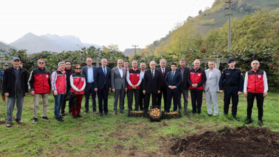 Ordu'da üretiliyor: Şehrin ekonomisine katkısı 520 milyon TL