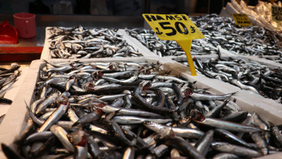 Hamsinin fiyatı düştü! Bakın balık fiyatları kaç lira oldu